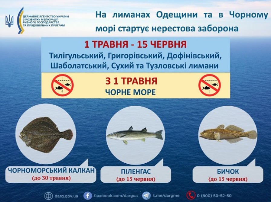 У 2026 році в лиманах Одеської області та Чорному морі запроваджено заборону на нерест. Тривалість цього обмеження та розміри штрафів за вилов риби залишаються актуальними питаннями. 2