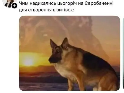 Євробачення-2026: хто потрапив до фіналу та як користувачі мережі жартують над учасниками. 39