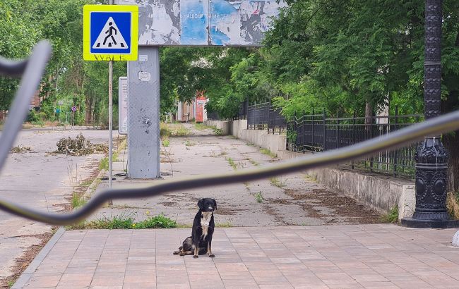 2 червня 2026 року на одному з шосе в Херсоні були виявлені протипіхотні міни, які залишили військові Російської Федерації. 1