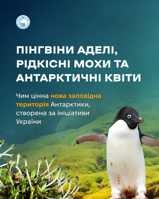Антарктика та станція Вернадського – місце, де українці заснували нову заповідну територію, фото. 10