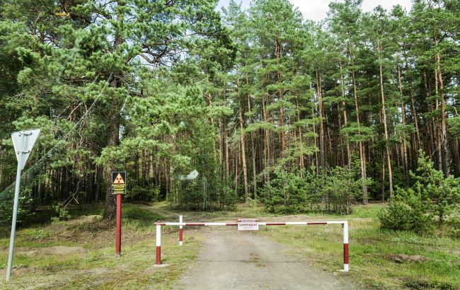 Чорнобильський заповідник став домівкою для шакалів – що відомо про їхнє з'явлення, фото. 1