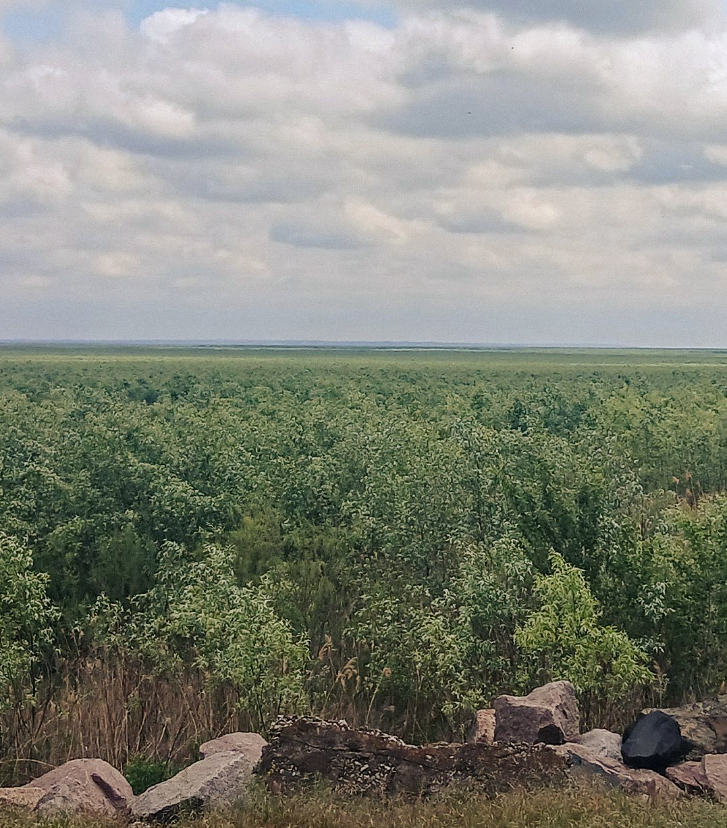 Підрив Каховської ГЕС 6 червня – яка ситуація наразі на території водосховища та чи планується його відновлення. Підрив Каховської ГЕС 6 червня – яка ситуація наразі на території водосховища та чи планується його відновлення. 4