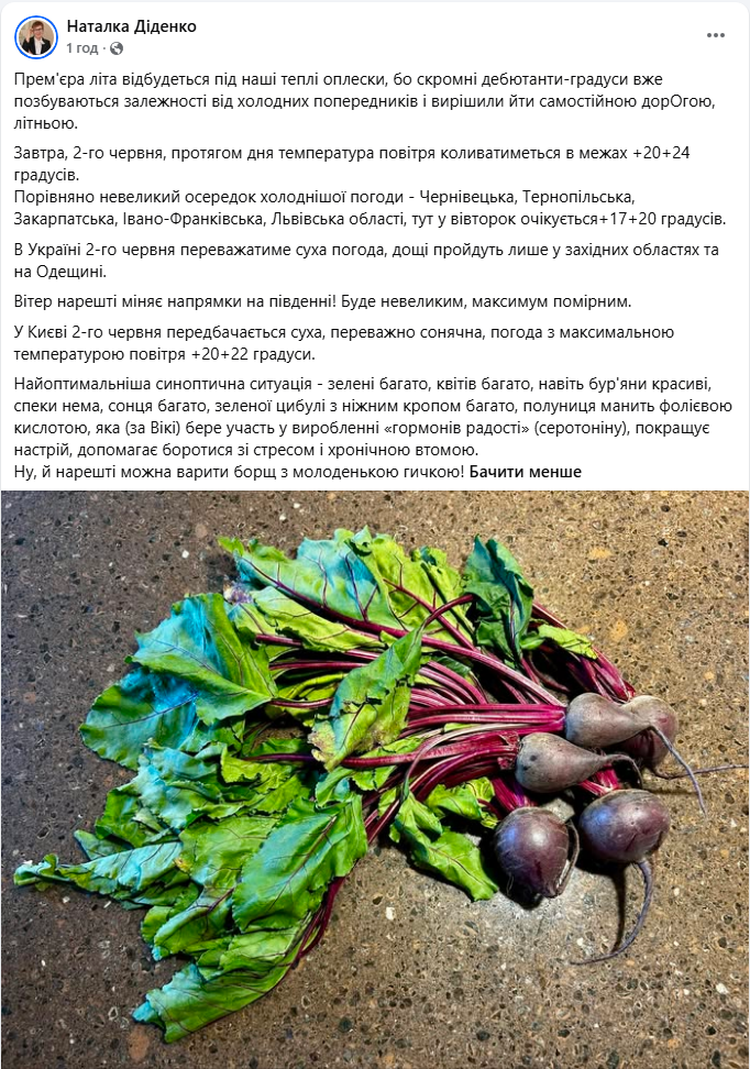 Погода в Україні та Києві 2 червня обіцяє підвищення температури - де буде прохолодніше та можливі опади, карта. 3