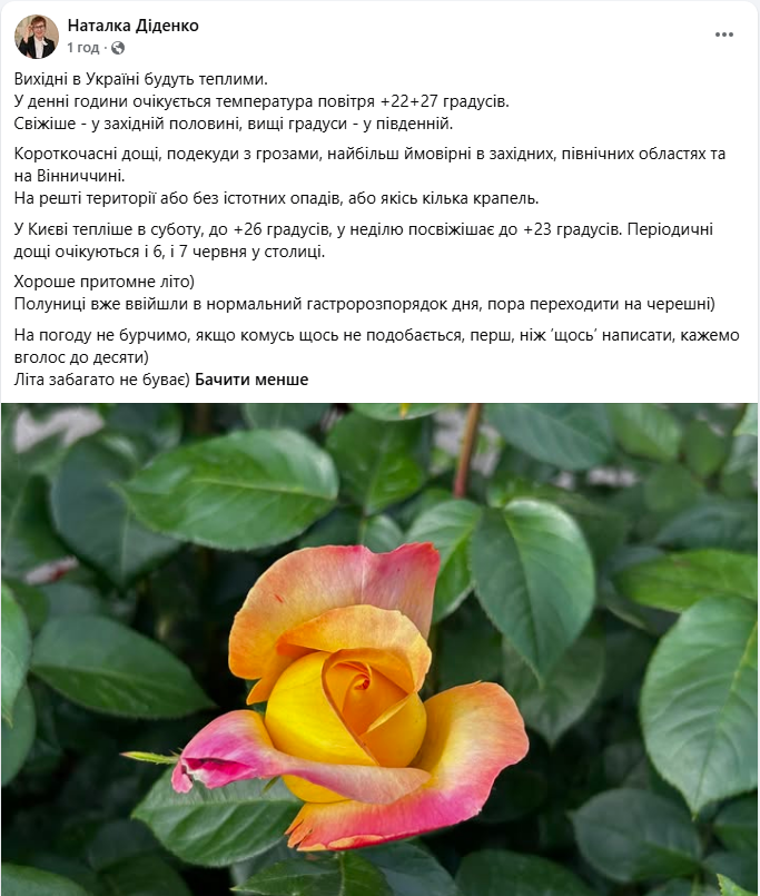 Прогноз погоди в Україні та Києві на 6-7 червня: де очікуються грози та яка температура на вихідні, карта. 4
